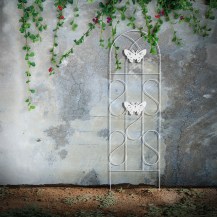 18291 butterfly trellis in-situ